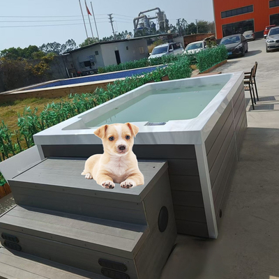 Kolam renang anjing acrylic untuk bermain air anjing